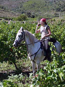 Spain-Catalonia-Wild Coast Wine Trail